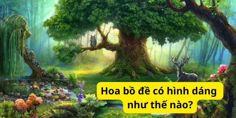 Hoa bồ đề có hình dáng như thế nào?